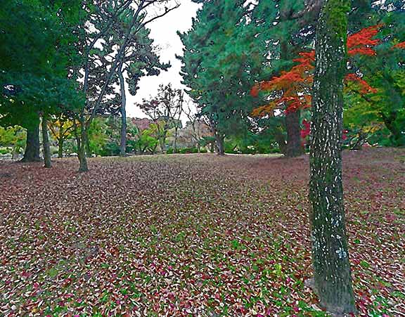 芦屋プラン株式会社 七夕（たなばた）2 Copilot